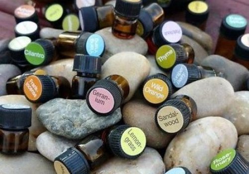 Free Samples Of Essential Oils